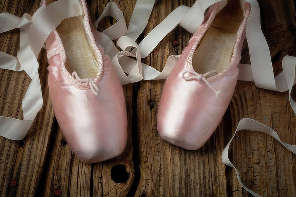 Ballet Slippers Art for Sale (Page #3 of 22) - Art America