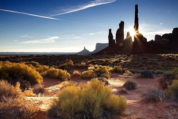 Wall Art - Photograph - Behind a rock  #1 by Alberto Audisio