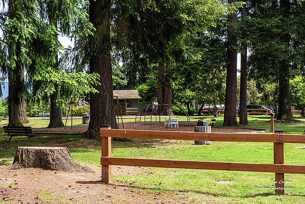 Serene Wall Art featuring the photograph Terrace Park Cedar Fence And Stump by Tom Cochran