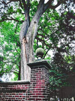 Wall Art - Photograph - Christ Church Stone #1 by Philly Photos