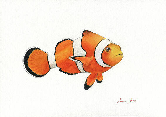 Clown Fish Paintings Fine Art America
