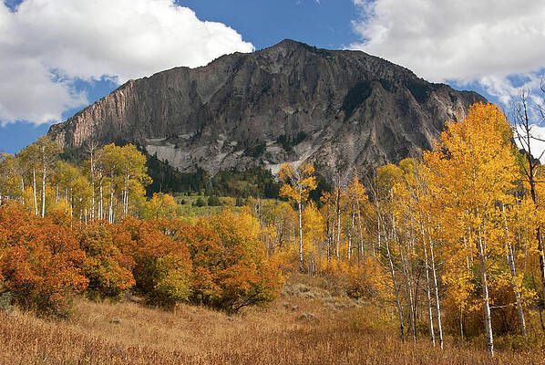 Wall Art - Photograph - Colorado Autumn Perfection #1 by Cascade Colors