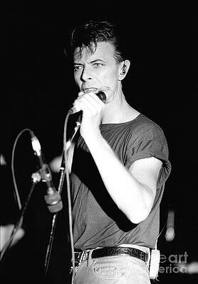 David Bowie - Tin Machine by Concert Photos David Bowie - Tin Machine by Concert Photos