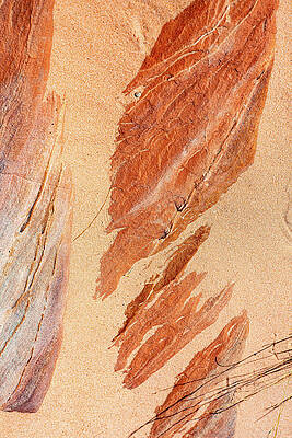 Desert Abstract by Joseph Smith Desert Abstract by Joseph Smith
