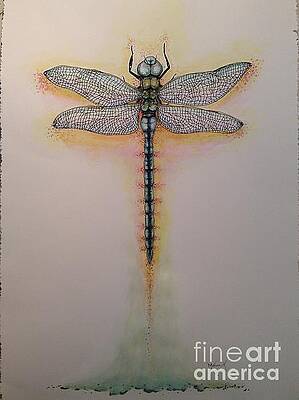 Drag On Fly by M J Venrick Drag On Fly by M J Venrick