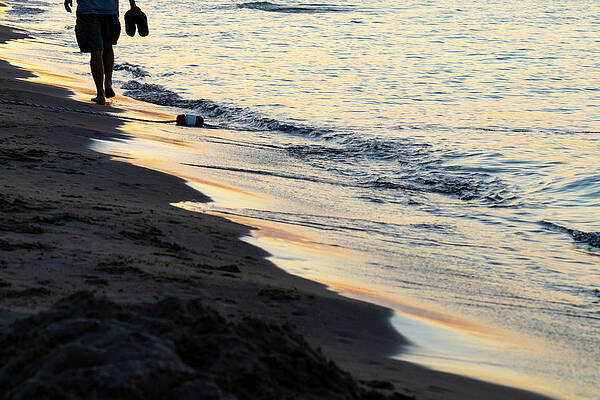 Wall Art - Photograph - Sunset Stroll by Patty Colabuono