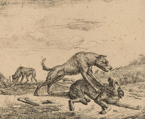 Fighting Dogs Print by Adriaen van de Velde