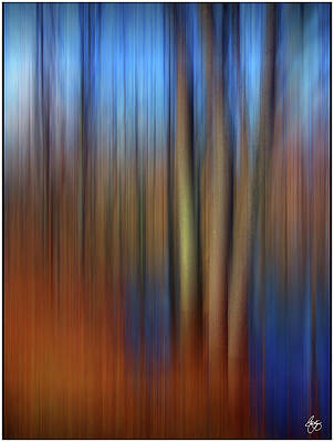 Floodplain Forest Abstract by Wayne King Floodplain Forest Abstract by Wayne King