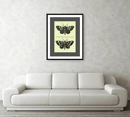 Wall Art - Mixed Media - For visualization only Not for sale #1 by Lorena Cassady