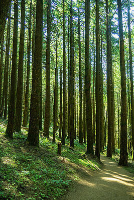 Go Take A Hike by Leslie Struxness Go Take A Hike by Leslie Struxness