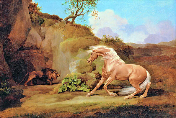 Animal Kingdom Paintings Fine Art America