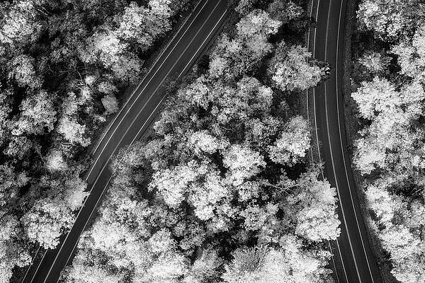 Wall Art featuring the photograph Hudson Valley NY Highway #1 by Susan Candelario