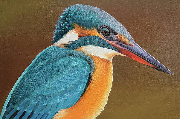 Kingfisher by Russell Hinckley Kingfisher by Russell Hinckley