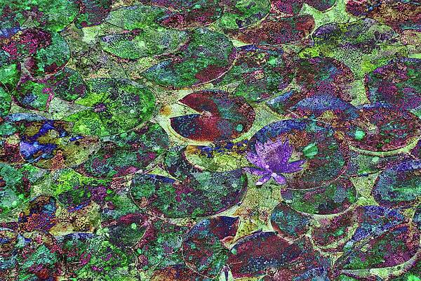 Wall Art - Digital Art - Lily Pond With Lichen Texture #1 by Bruce Block