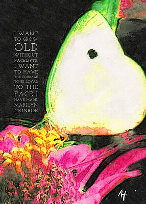 Wall Art - Painting - Marilyn Monroe Inspirational Butterfly with Quote in Warhol Color Palette  #1 by AList Art Gallery