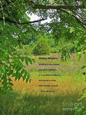 Midday Meadow by Ann Horn Midday Meadow by Ann Horn
