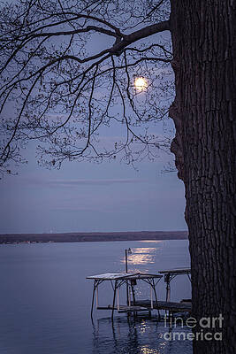 Moon Glow by William Norton Moon Glow by William Norton