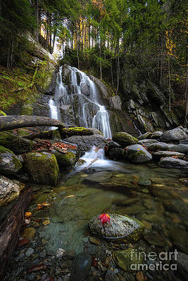 Moss Glen Falls in Autumn by Michael Ver Sprill Moss Glen Falls in Autumn by Michael Ver Sprill