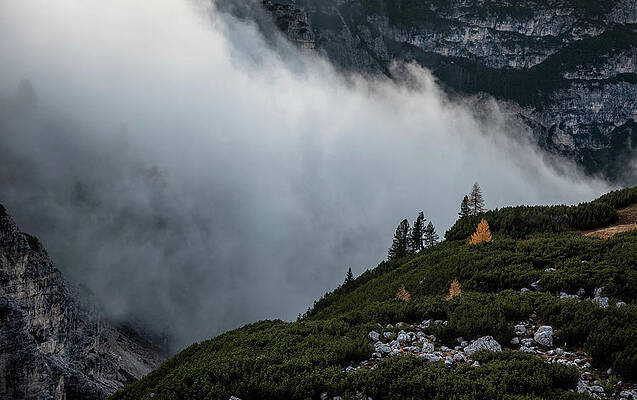 Wall Art - Photograph - Mountain landscape with fog,  at the Tre Cime hiking path area i #1 by Michalakis Ppalis