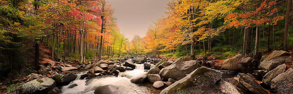 Wall Art - Photograph - Mountain Stream In Autumn P #1 by Frank Wilson