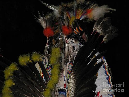 Native American Series No by Eileen Cooper