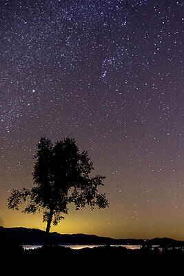 Night Sky Over Townsend by Jayme Spoolstra Night Sky Over Townsend by Jayme Spoolstra