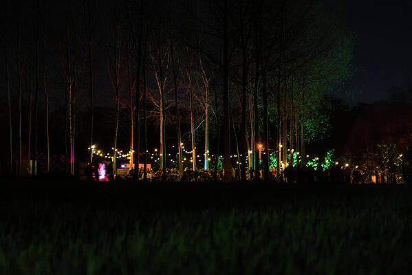 Night walk in the fruit grove by Tom Van den Bossche Night walk in the fruit grove by Tom Van den Bossche