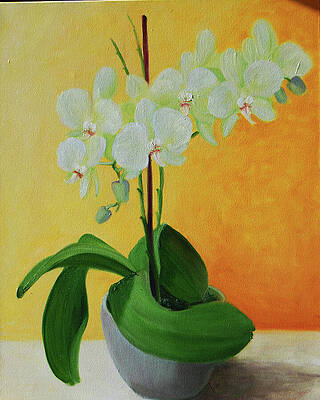 Orchid in grey pot by Frank Hoeffler Orchid in grey pot by Frank Hoeffler