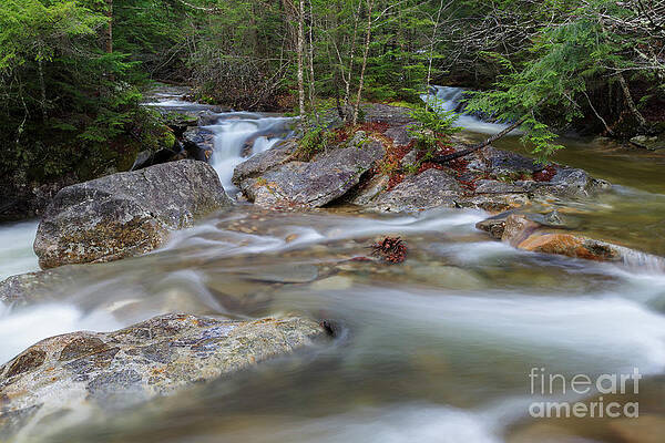 Wall Art - Photograph - Pemigewasset River - Franconia Notch State Park, NH by Erin Paul Donovan
