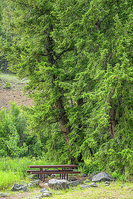 Wall Art - Photograph - Picnic table #1 by Paul Freidlund