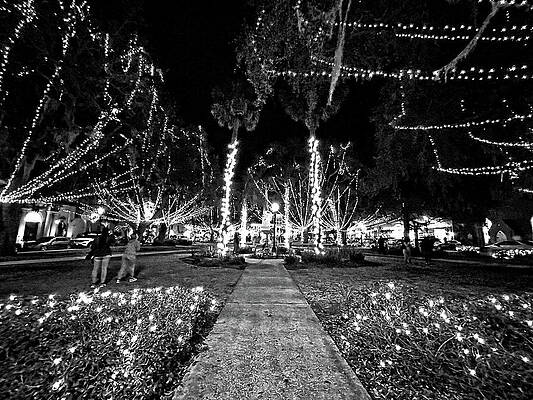 Plaza de la Constitucion by George Taylor Plaza de la Constitucion by George Taylor
