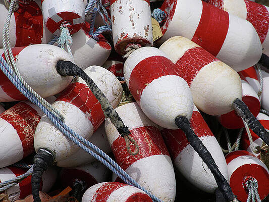 Wall Art - Photograph - Red and white crab floats #1 by Steve Estvanik