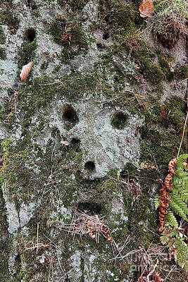 Reliefs of Stone Hollow Road by Michal Boubin Reliefs of Stone Hollow Road by Michal Boubin