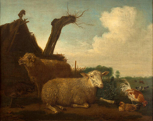Sheep and ram Print by Adriaen van de Velde