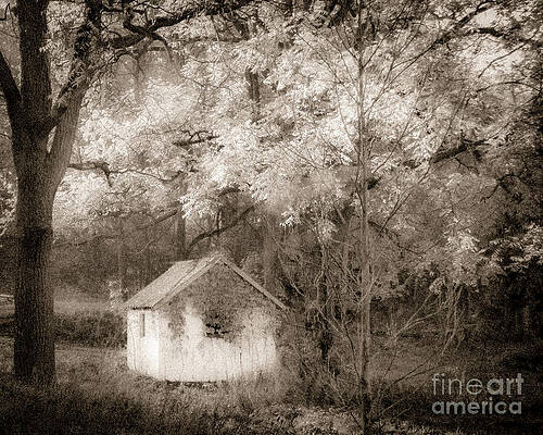 Wall Art - Photograph - Spring House #1 by Robert Gardner