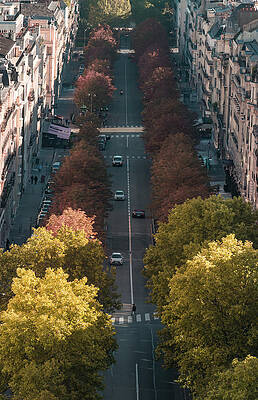 Street of Paris by Cyril Mouty Street of Paris by Cyril Mouty
