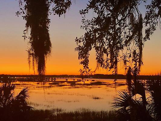 Sunrise 2 by Michael Stothard Sunrise 2 by Michael Stothard