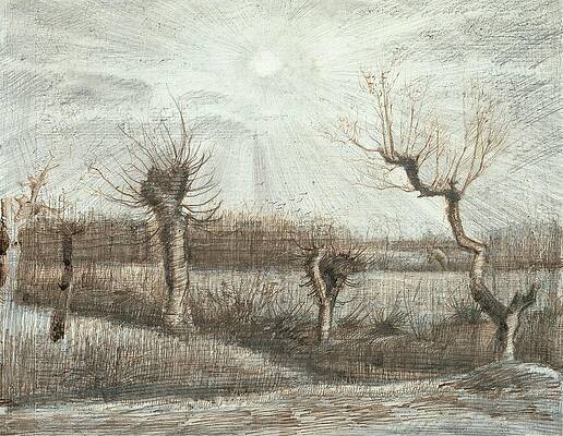 Wall Art - Painting - Tetards Pollards #1 by Vincent van Gogh