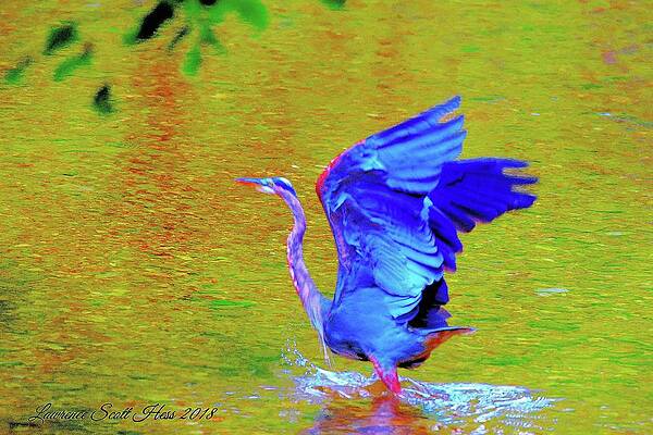 The Blue Heron by Lawrence Hess The Blue Heron by Lawrence Hess