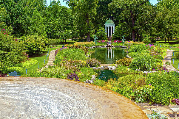 The Garden by Terry Walsh The Garden by Terry Walsh