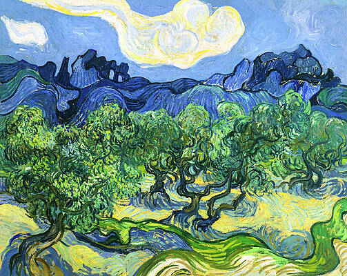 Wall Art - Painting - The Olive Trees by Vincent van Gogh 1889  #1 by Vincent van Gogh