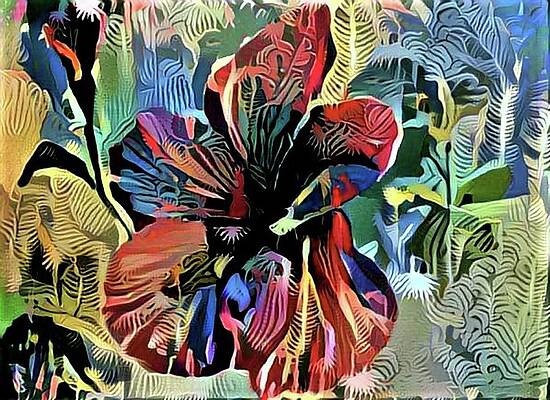 The Red Flower by Darren Cannell The Red Flower by Darren Cannell