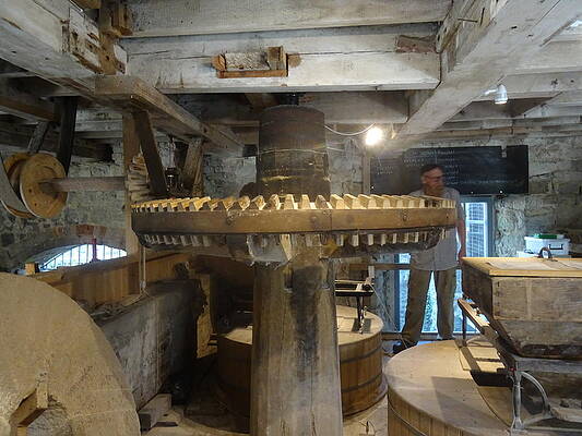 Town Mill Lyme Regis by John Bridge
