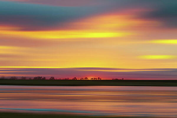 Wall Art - Photograph - Colorful Tree Line by James BO Insogna