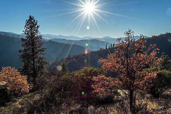 Wall Art - Photograph - Tunnel Ridge Trail #1 by Diane Moller