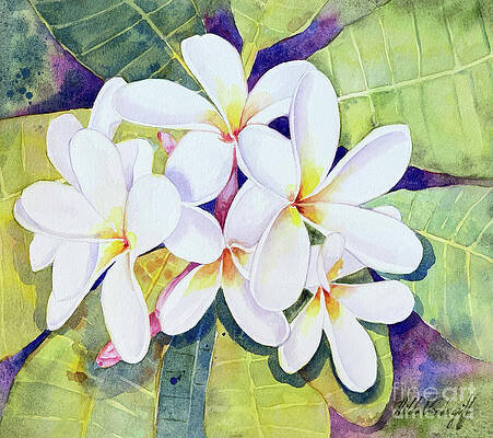 23+ Paintings Of Hawaiian Flowers