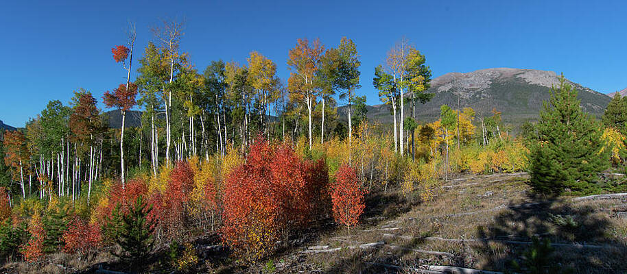 Wall Art - Photograph - White River National Forest Autumn Panorama #1 by Cascade Colors
