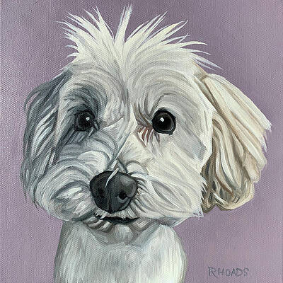 Winston by Nathan Rhoads Winston by Nathan Rhoads