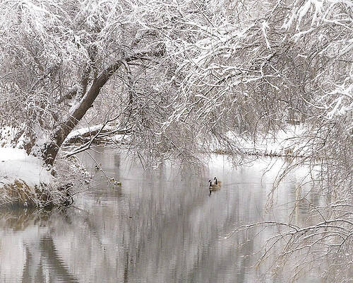 Winter Landscape by Mark Mille Winter Landscape by Mark Mille