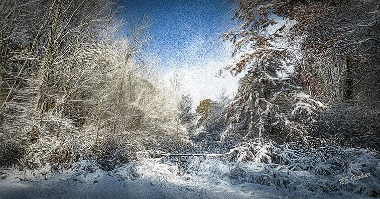 Winter Wonderland by Robert Gardner Winter Wonderland by Robert Gardner